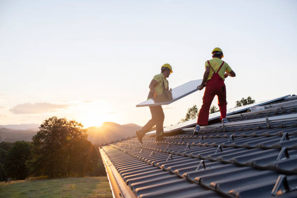 Best Roof Moss and Algae Removal  in Lancaster, KY