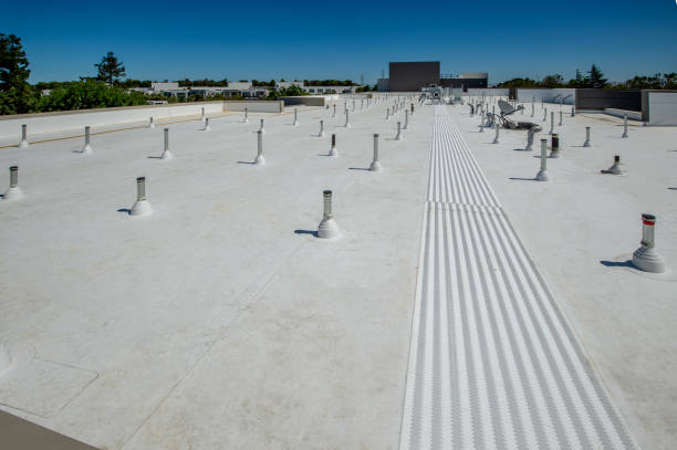 Best Cold Roofs  in Lancaster, KY